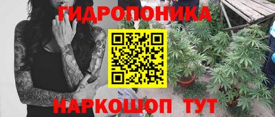 не бодяженный Сланцы