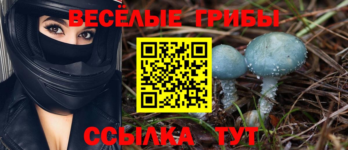 Галлюциногенные грибы мицелий Волгоград